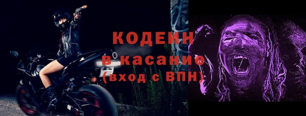 прущий лед Бикин