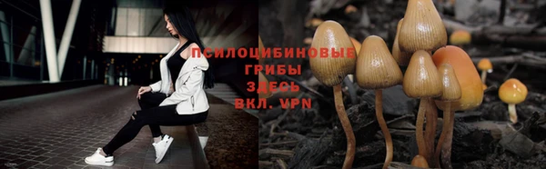 mix Осташков