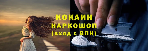 винт Осинники