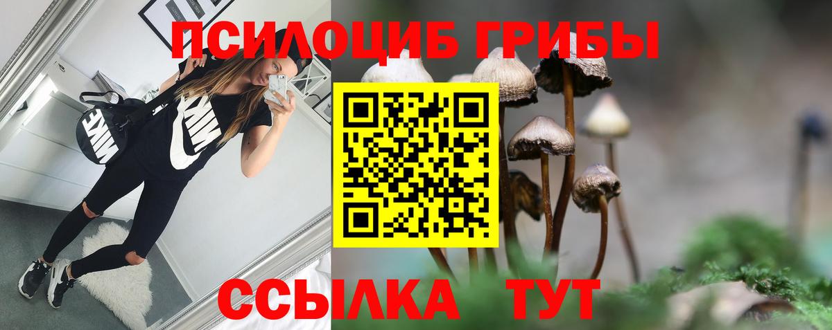 Псилоцибиновые грибы прущие грибы  Вход с VPN  Псилоцибиновые грибы Psilocybe  Курск 