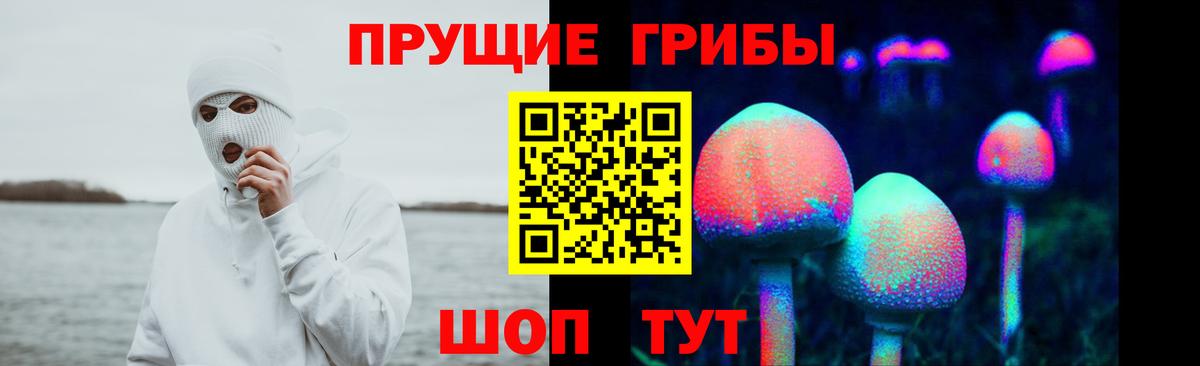 наркотики  Псилоцибиновые грибы GOLDEN TEACHER  Курск  Галлюциногенные грибы прущие грибы 